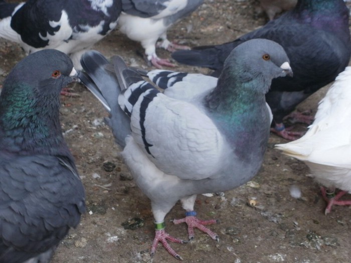 P9250774
