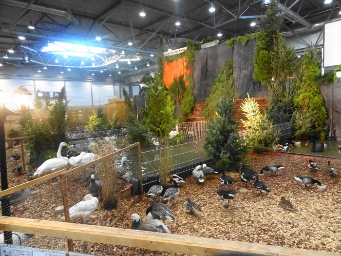 DSC05884 - EUROPASCHAU LEIPZIG 2012