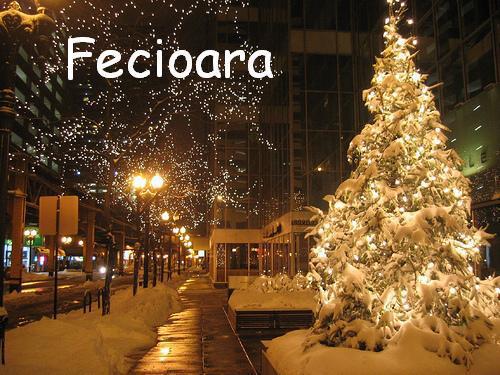 Fecioara - ix - Snow Time - ix