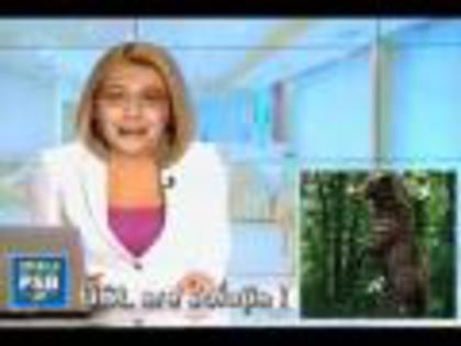 Cronica Carcotasilor