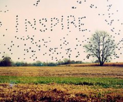 tumblr_meaxcuOMsF1rfzeryo1_500_thumb - Asta e privat