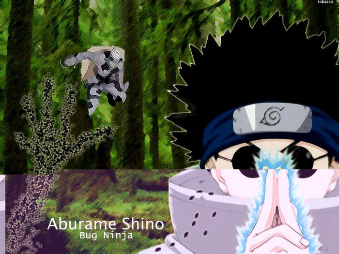Aburame-Shino-Bug-Ninja-naruto-926334_1024_768