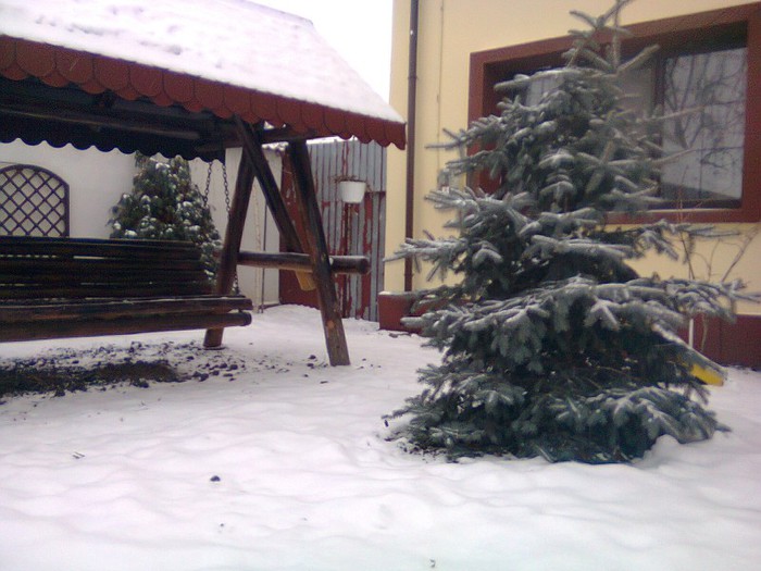 A VENIT IARNA