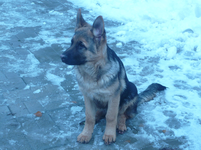 Axel la 14 saptamani