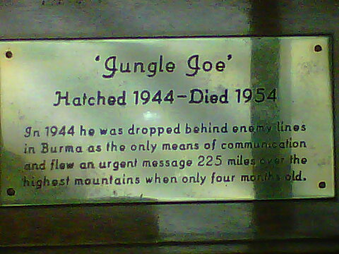 Jungle Joe plaque excellent