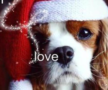 155990_288075694629196_1777700327_n_thumb (1)