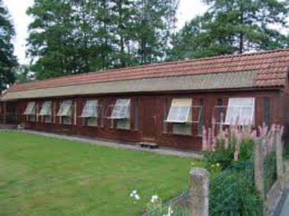 voliera-preferata-mea