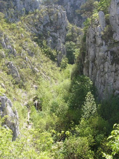 P5015211