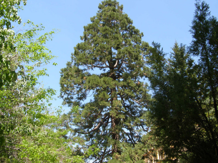 P5015221