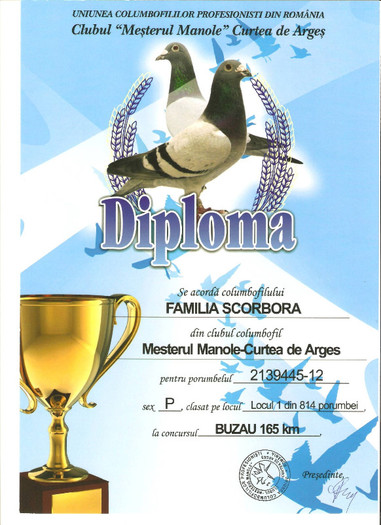 3020A2A8 - DIPLOME SI CUPE OBTINUTE 2012