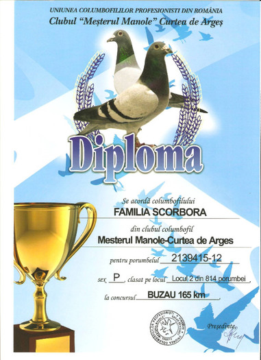 47093425 - DIPLOME SI CUPE OBTINUTE 2012