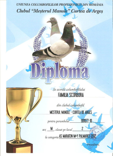 CFAB127E - DIPLOME SI CUPE OBTINUTE 2012