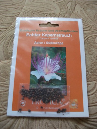 capparis spinosa - flori si legume Germania