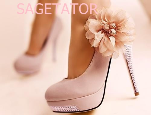 SAGETATOR