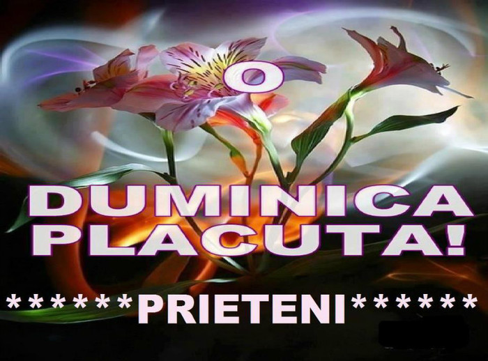 14219_453751851329259_1393364093_n