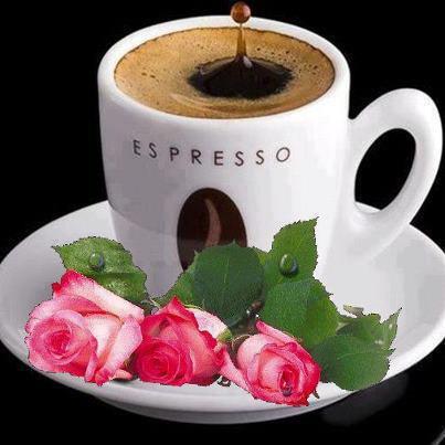 217913_455767107794400_703430172_n