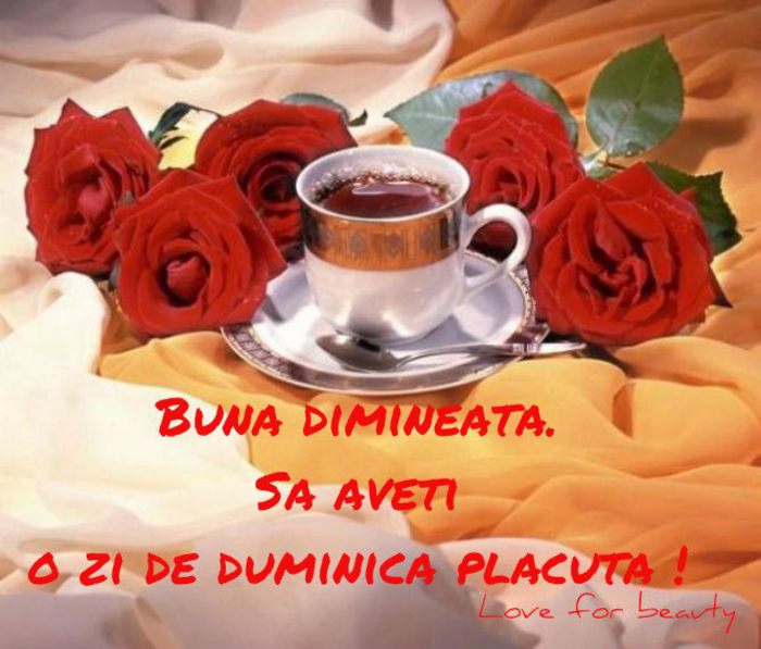 481635_402916906451892_517727404_n