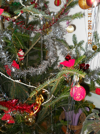 23.12.2012 022