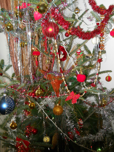 23.12.2012 024