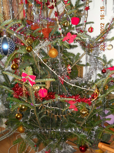 23.12.2012 025
