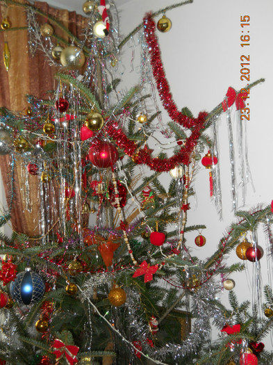 23.12.2012 026