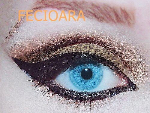 FECIOARA - x-MAKE UP-x