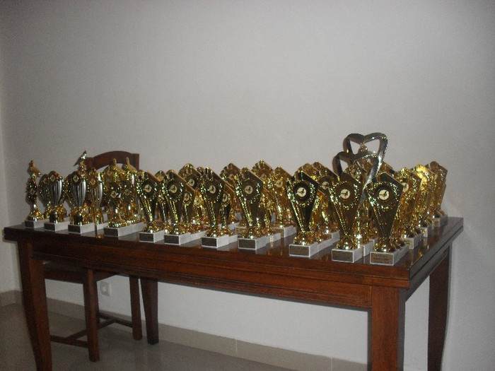 trofeele; clb.Bughea De Jos,pt.anul competitional 2012!
