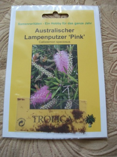 callistemon speciosus - flori si legume Germania