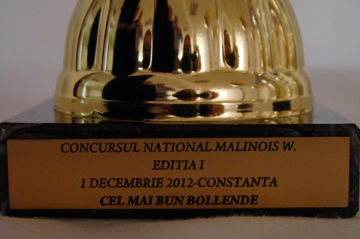 DSC09184 - CLUBUL ROMAN AL CRESCATORILOR DE CANARI MALINOIS-WATERSLAGER