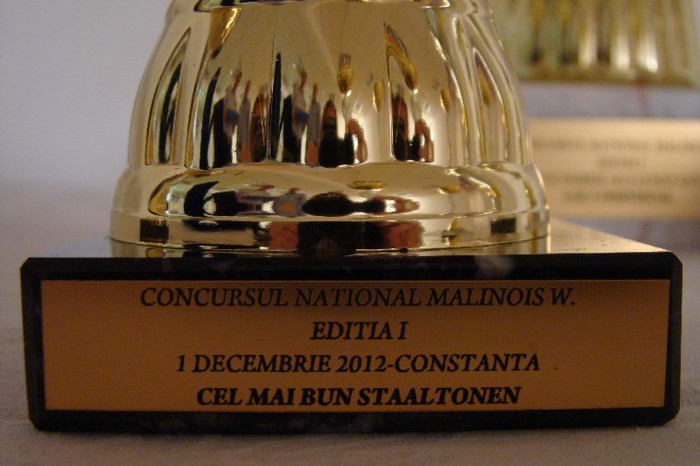 DSC09185 - CLUBUL ROMAN AL CRESCATORILOR DE CANARI MALINOIS-WATERSLAGER