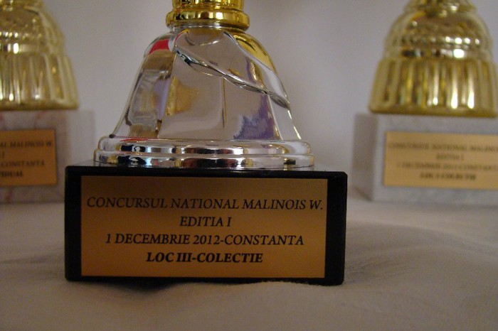 DSC09186 - CLUBUL ROMAN AL CRESCATORILOR DE CANARI MALINOIS-WATERSLAGER