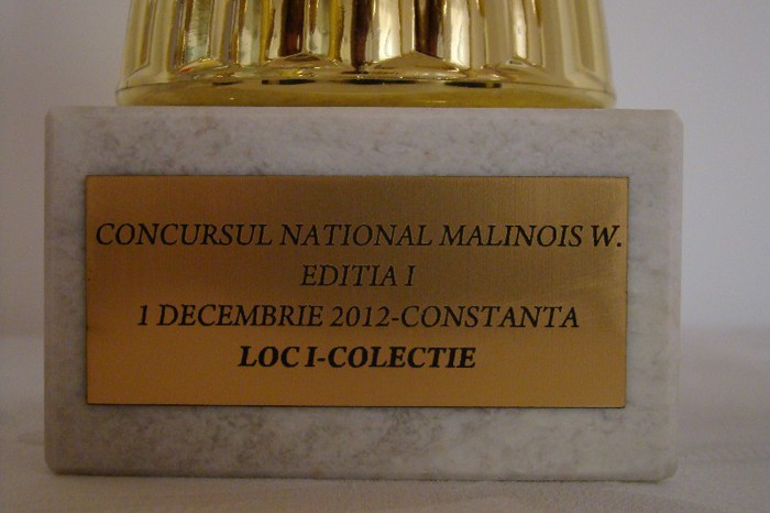 DSC09188 - CLUBUL ROMAN AL CRESCATORILOR DE CANARI MALINOIS-WATERSLAGER