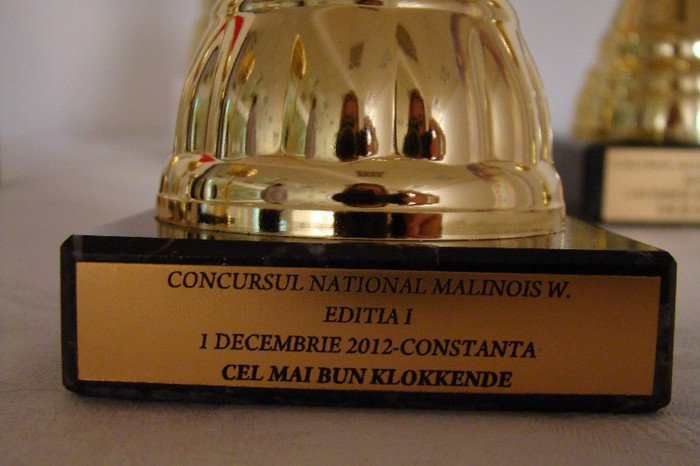 DSC09191 - CLUBUL ROMAN AL CRESCATORILOR DE CANARI MALINOIS-WATERSLAGER