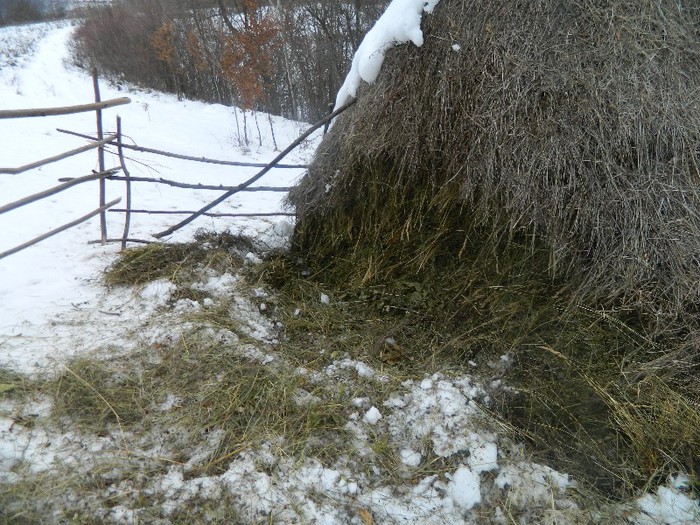 Picture 028 - Diverse-Claudiu