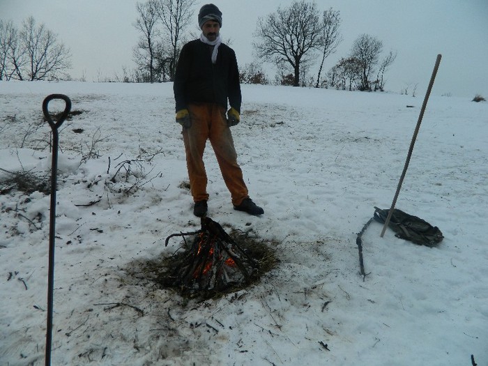 Picture 030 - Diverse-Claudiu