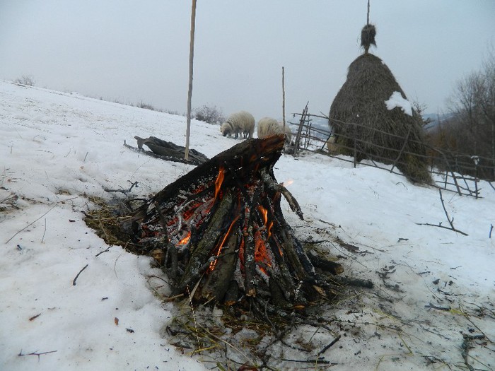 Picture 032 - Diverse-Claudiu