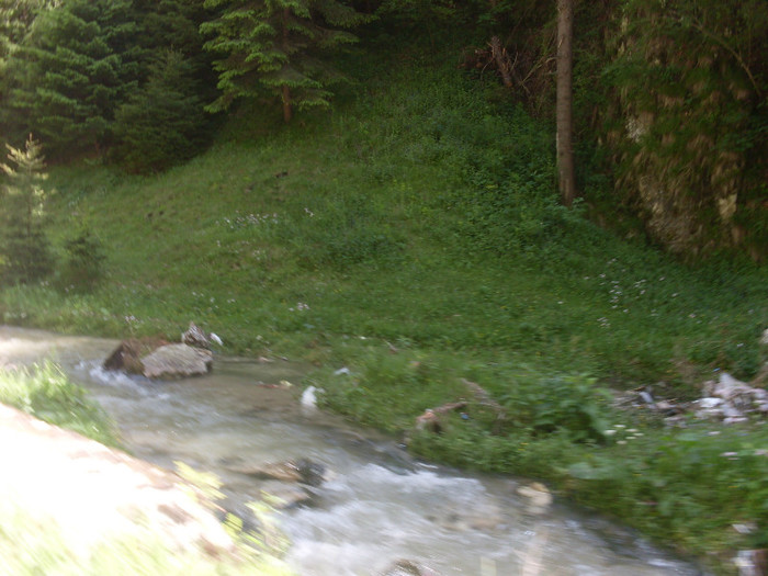 SDC15692 - Cheile Dambovitei