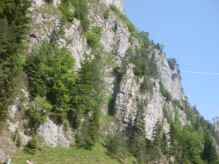 SDC15699 - Cheile Dambovitei