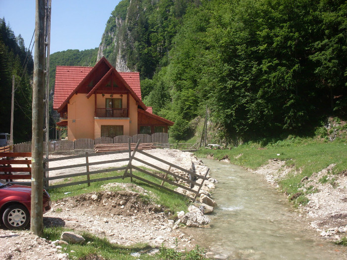 SDC15710 - Cheile Dambovitei