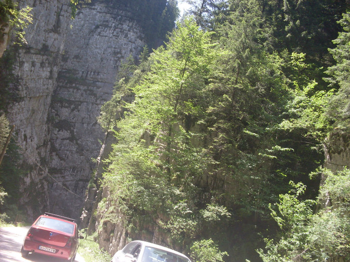 SDC15738 - Cheile Dambovitei