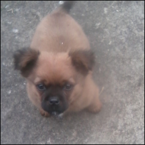 ..[se uita i.p la Chang :O3.]..