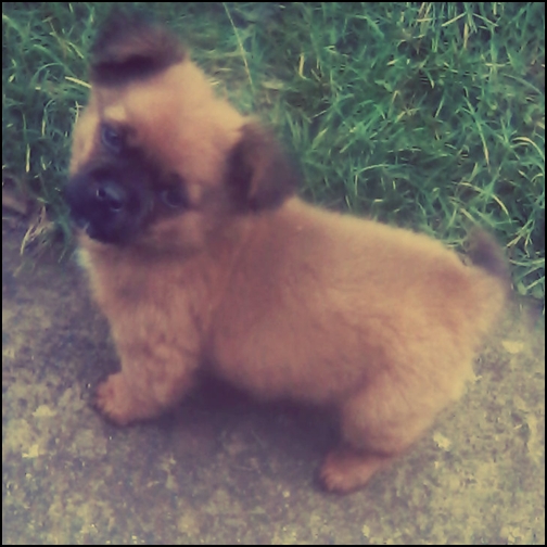 ..[se uita i.p la ea;latra incet :o3.] - Xx Episodul-96 xX