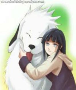 images (5) - Akamaru_cel_mai_dulce_animalut