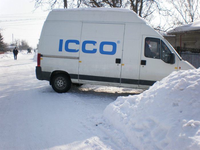 P2180919 - Poze Hobaia Giurgiu