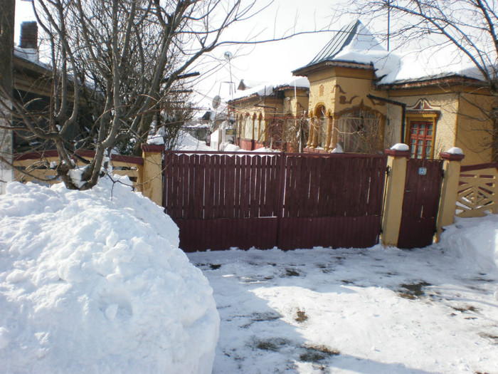 P2180915 - Poze Hobaia Giurgiu