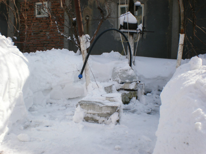 P2180909 - Poze Hobaia Giurgiu