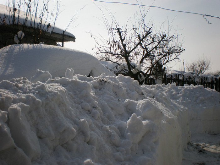 P2180910 - Poze Hobaia Giurgiu