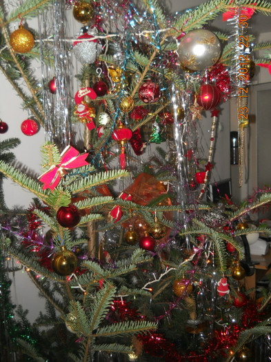23.12.2012 002