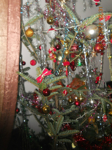 23.12.2012 004