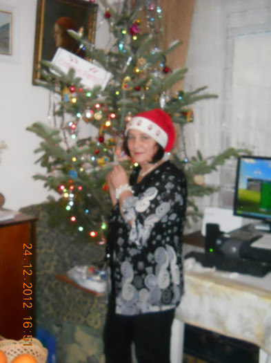24.12.2012 027
